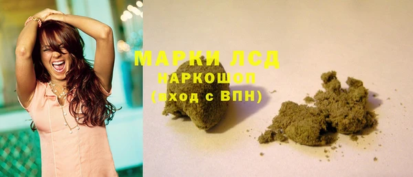 Альфа ПВП Аркадак