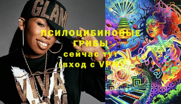 экстази Арсеньев