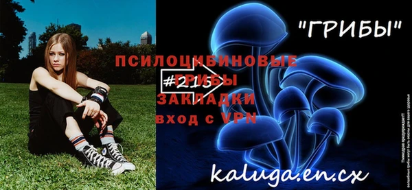 Альфа ПВП Аркадак