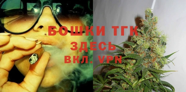 Альфа ПВП Аркадак