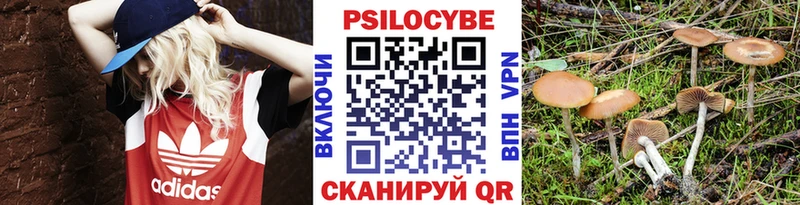 Псилоцибиновые грибы Cubensis  mega ONION  Колпашево 